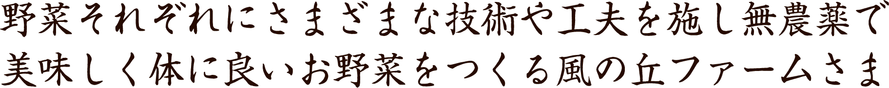野菜それぞれに様々な技術と工夫を施し無農薬で美味しく体に美味しいお野菜を作る風の丘ファームさま