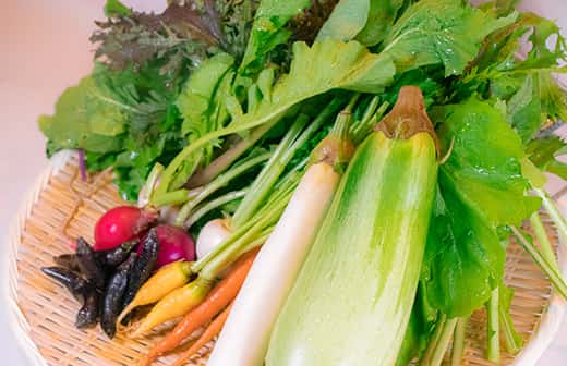 風の丘ファーム様