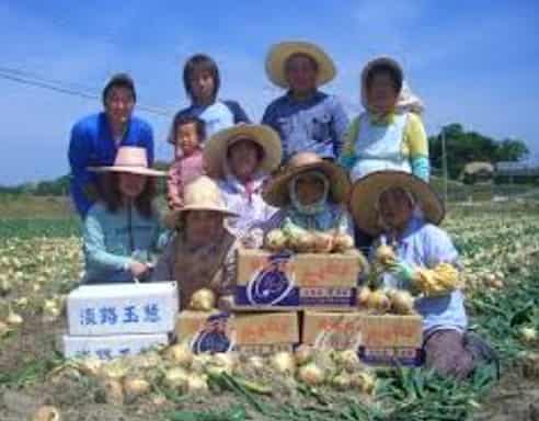 風の丘ファーム様