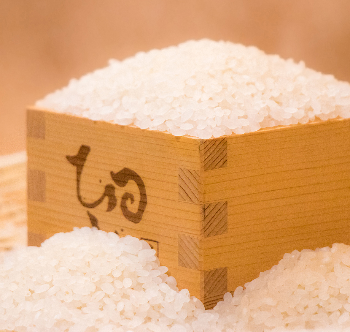 小坂農園様のお米