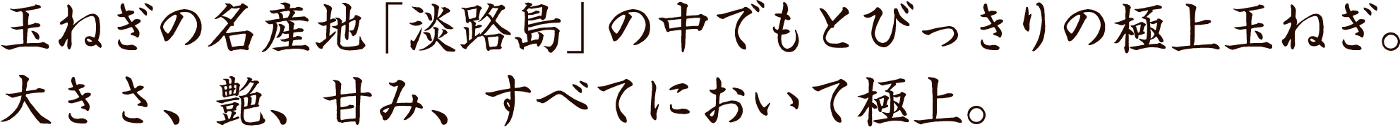 玉ねぎの名産地「淡路島」の中でもとびきり上質玉ねぎ。大きさ、つや、あまみ、全てにおいて極上。