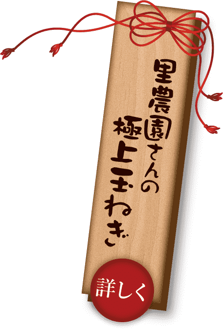 里農園さんの極上玉ねぎ